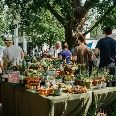 A vibrant market stall of seasonal British produce